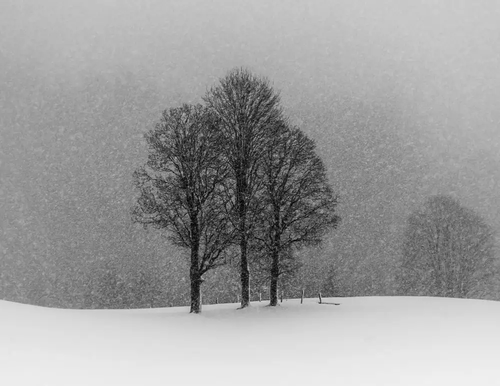 Dauer, Andy: lascia che nevichi