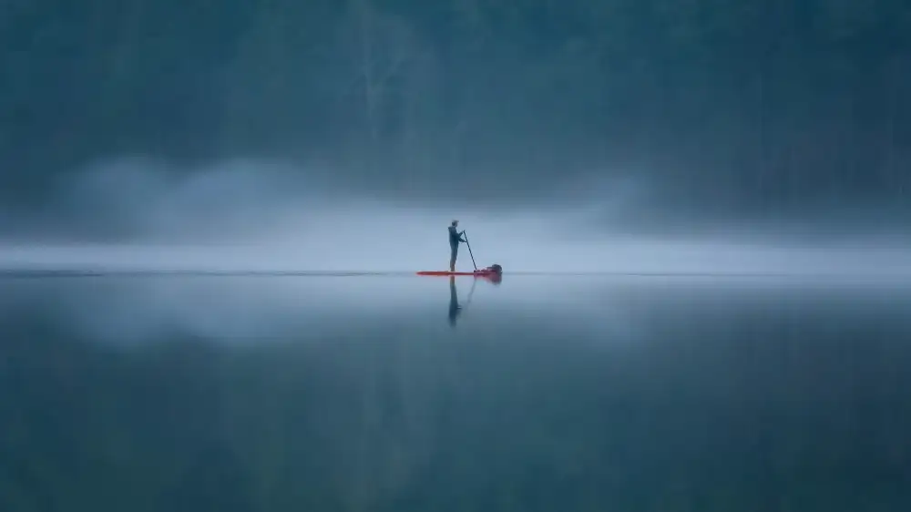 Yang, Jianping: Symmetrie im Nebel