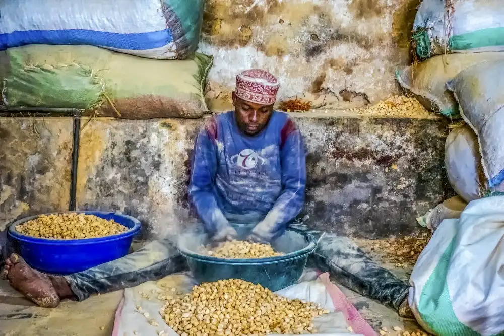 Groleau, Michel: Lavoratore del baobab
