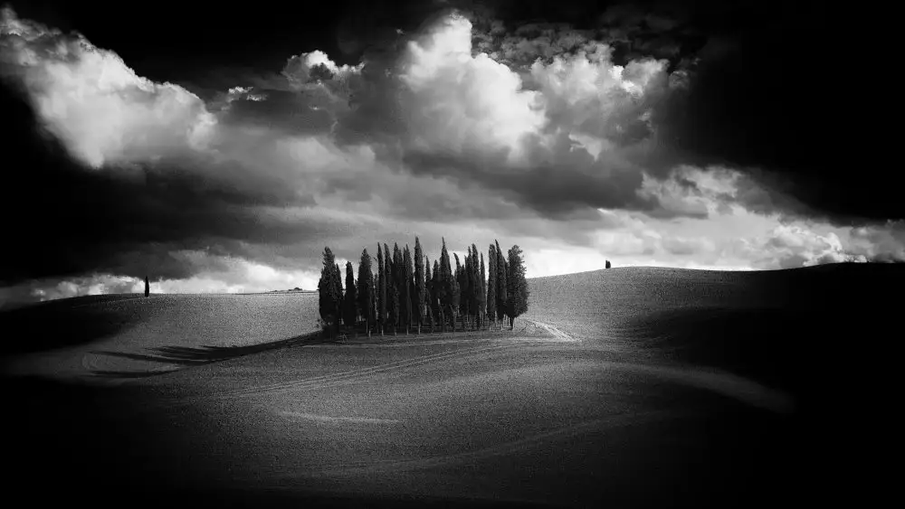Moretti, Claudio: I cipressi