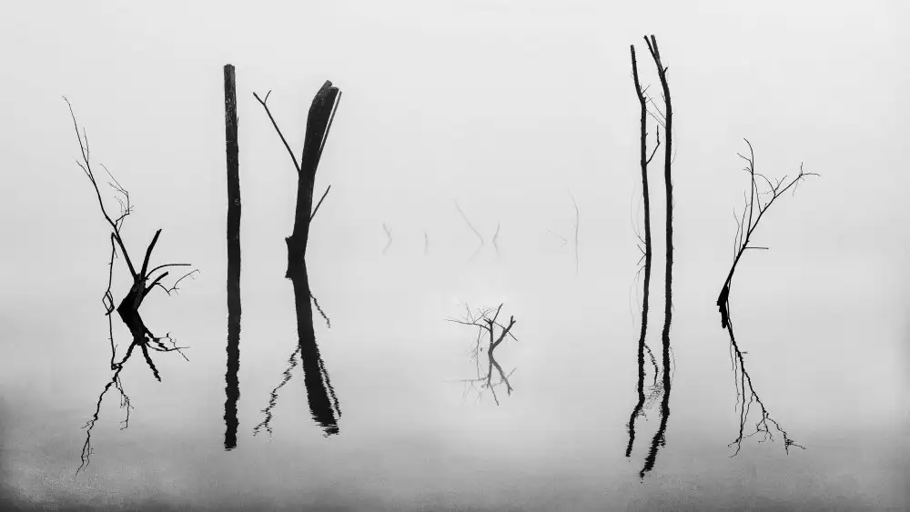Woo, Shin Ryu: Abziehbildmanie 02