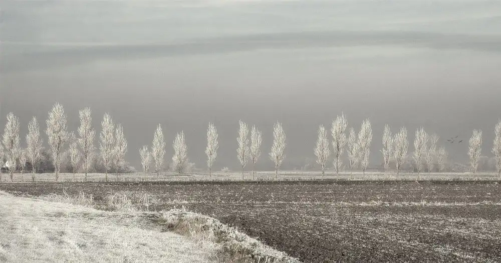 Yvette,,,, Depaepe,,,,: Solstizio d'inverno