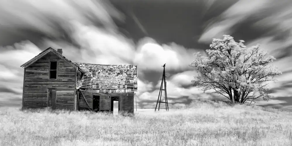 Darby, Rob: Abbandonato (IR)