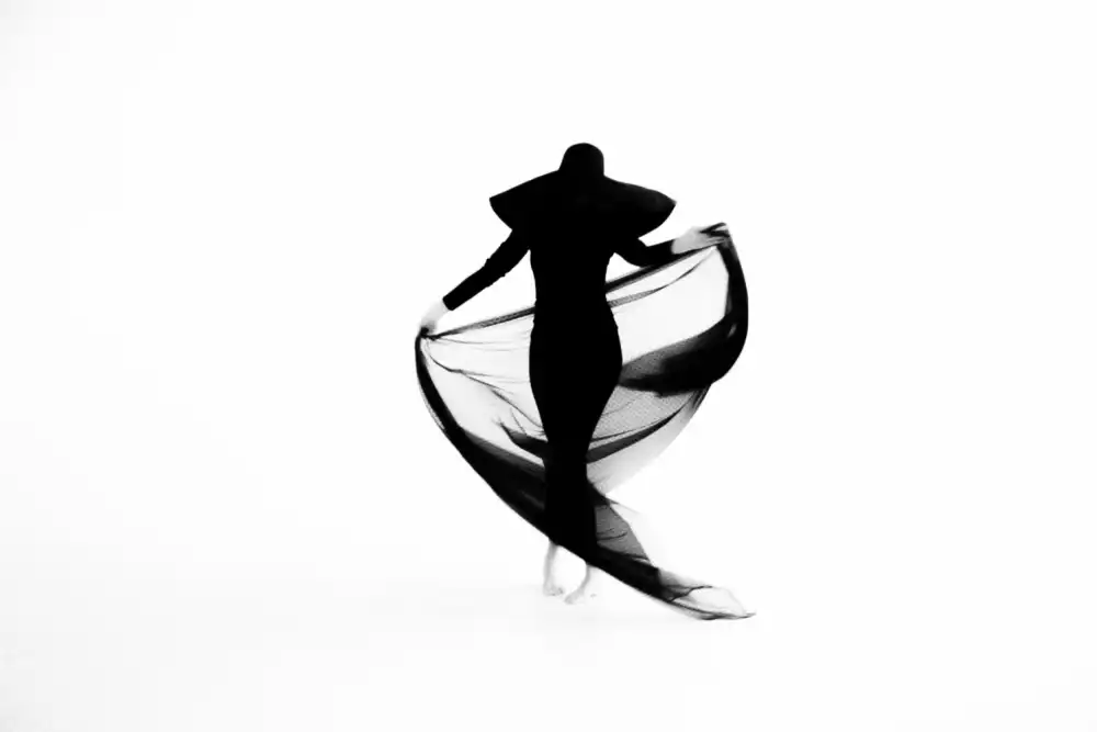 Zvagina, Dzintra: Minimalismus
