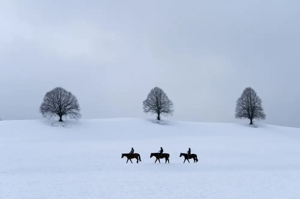 Marcel, Streiff: Doppio trio