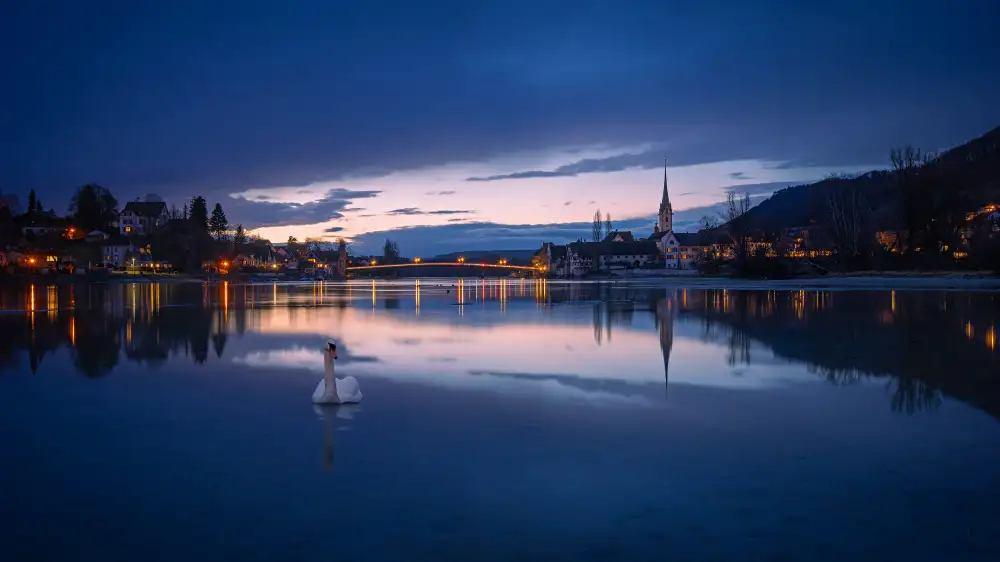 Ribeiro, Rui: Stein am Rhein
