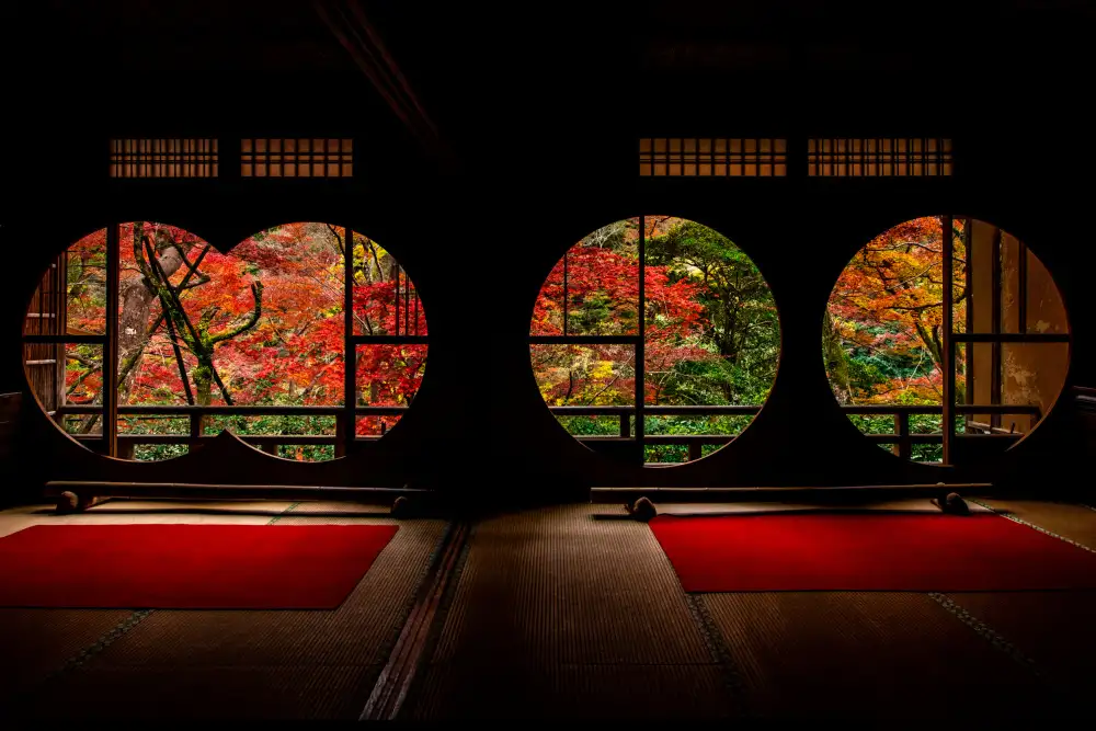 Aoki, Juri: Foglie d'autunno