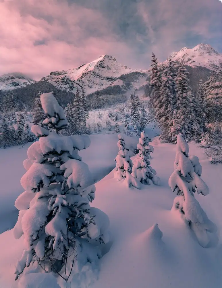 Tao, Liwen: inverno nevoso