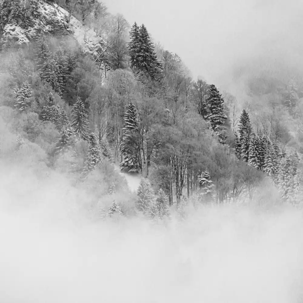 Wasinger, Renate: la montagna nebbiosa