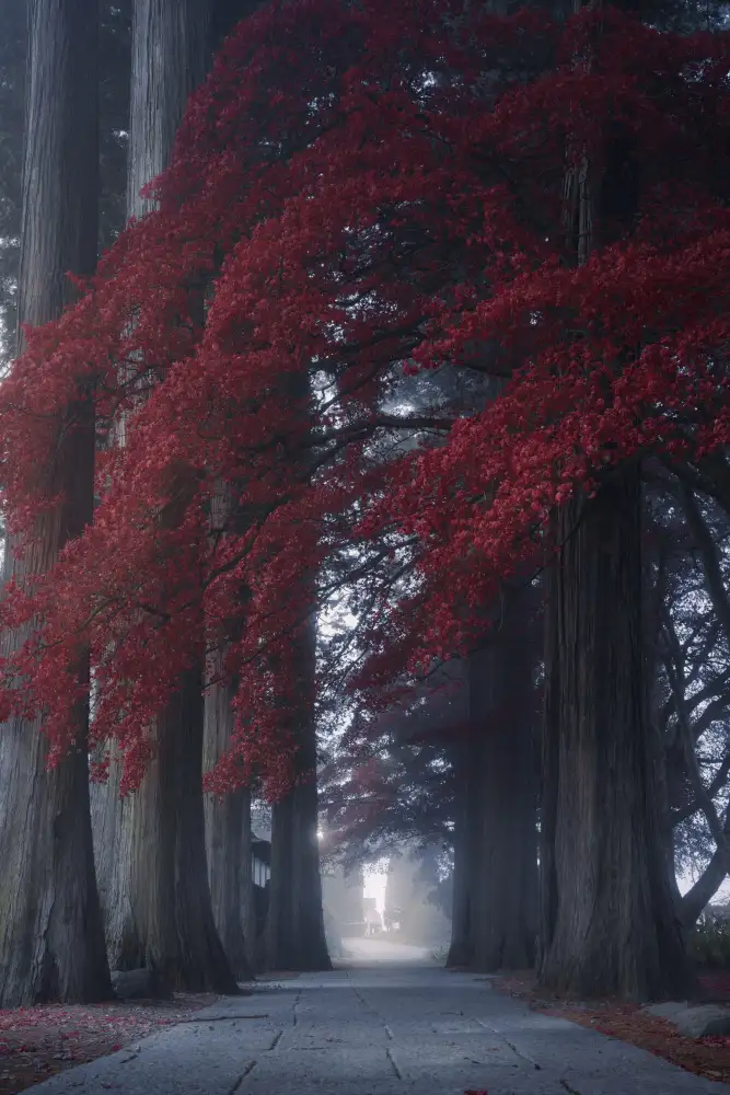 Sugita, Masaki: Tempio Chouenji