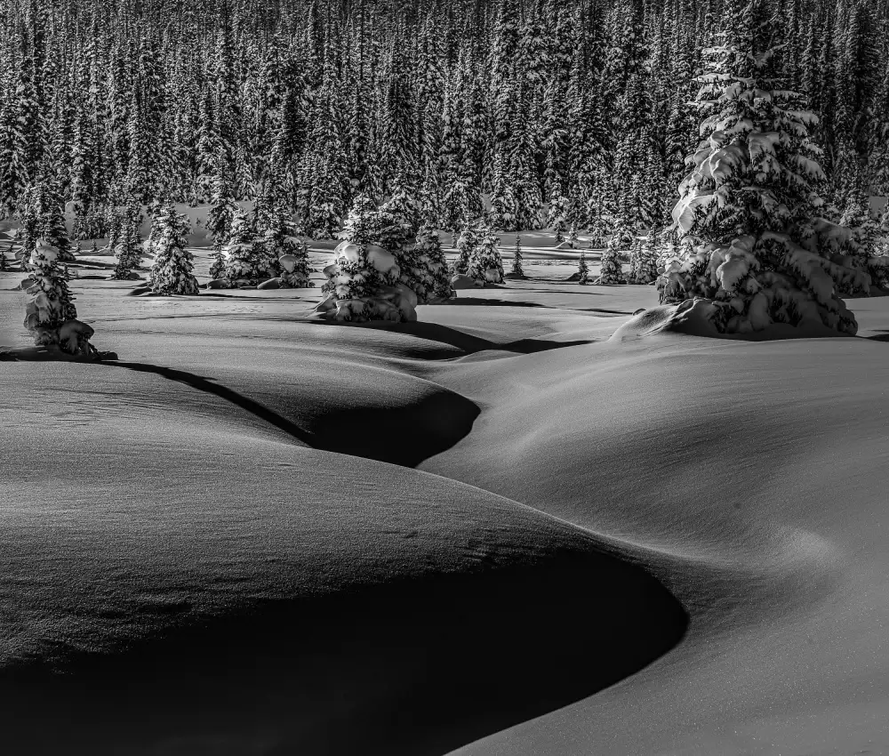 Tao, Liwen: Nessun nome
