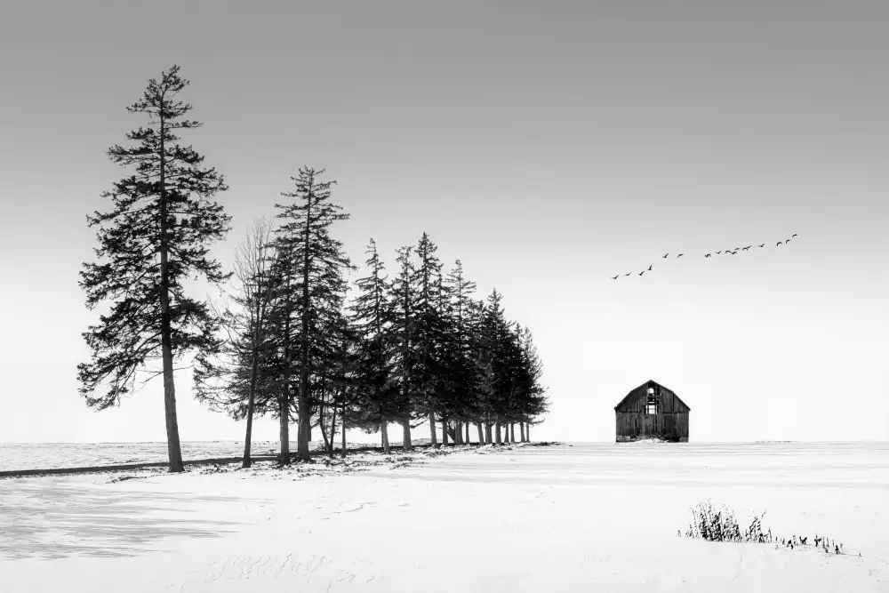 Zhou, Steven: Une journée d'hiver ensoleillée