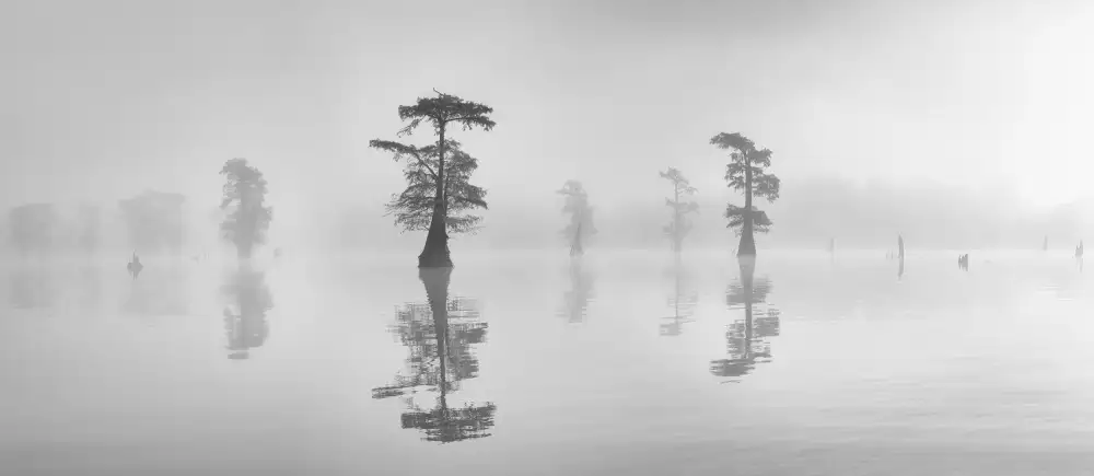 Ning, Aidong: Ritmo nella nebbia