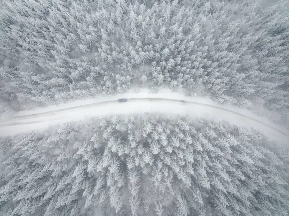 Macua, Gerald: Il paese delle meraviglie invernale