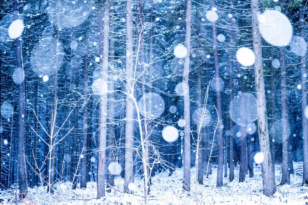 Eisenmann, Ulrike: Snowscape