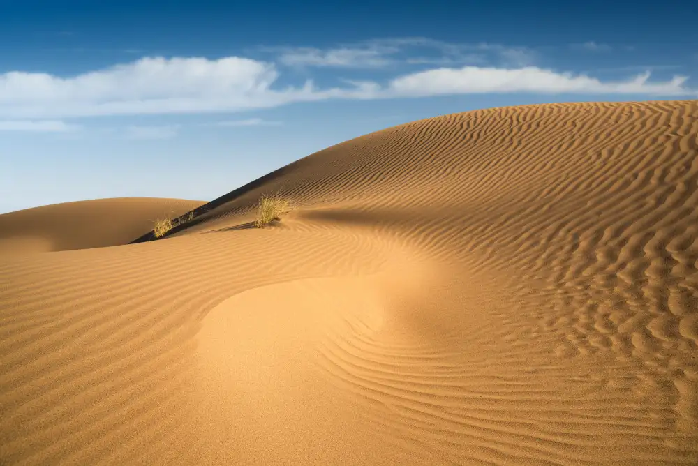 Babaei, Hosein: Curve