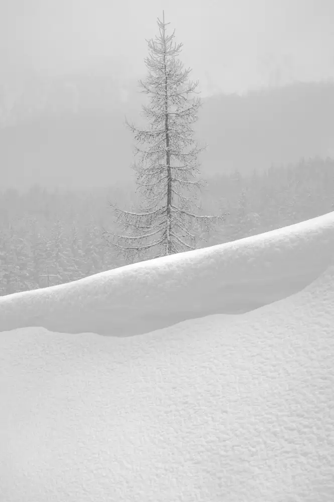 Traverso, Alessandro: Silenzio morbido