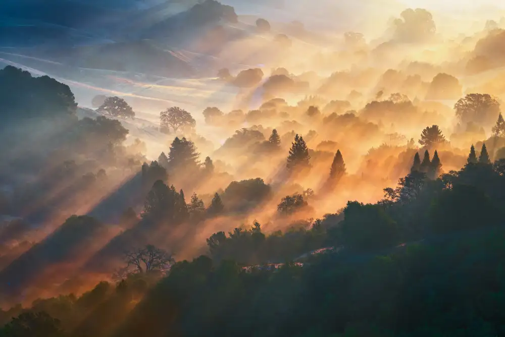 Li, Ryan: Luce del mattino