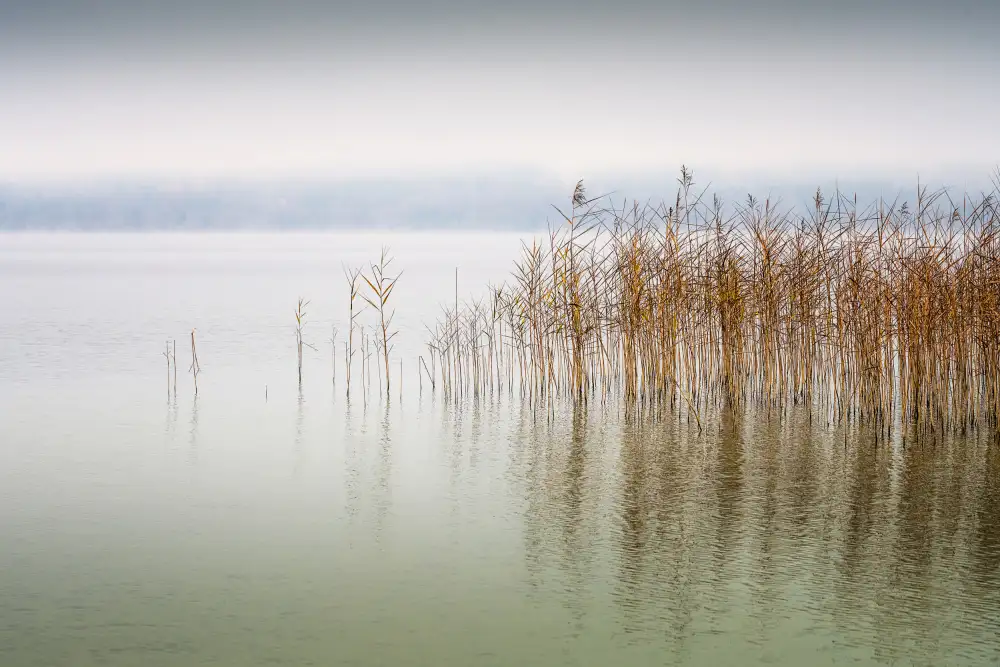 Eisenmann, Ulrike: Petites vagues