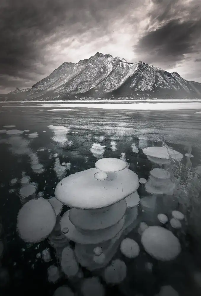 Tao, Liwen: Nessun nome