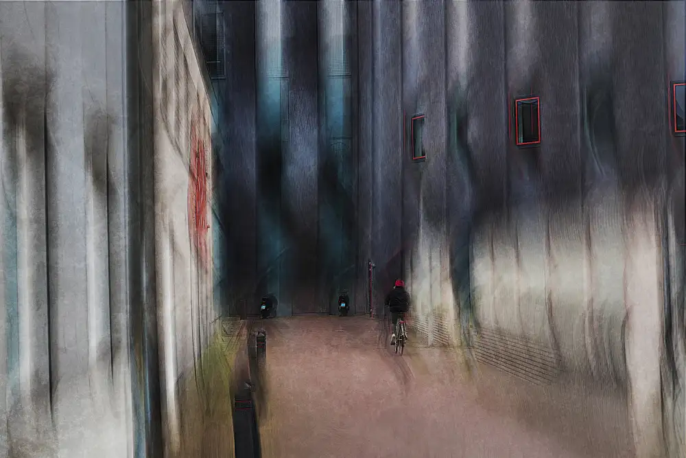 Linden, van Jan: Rot