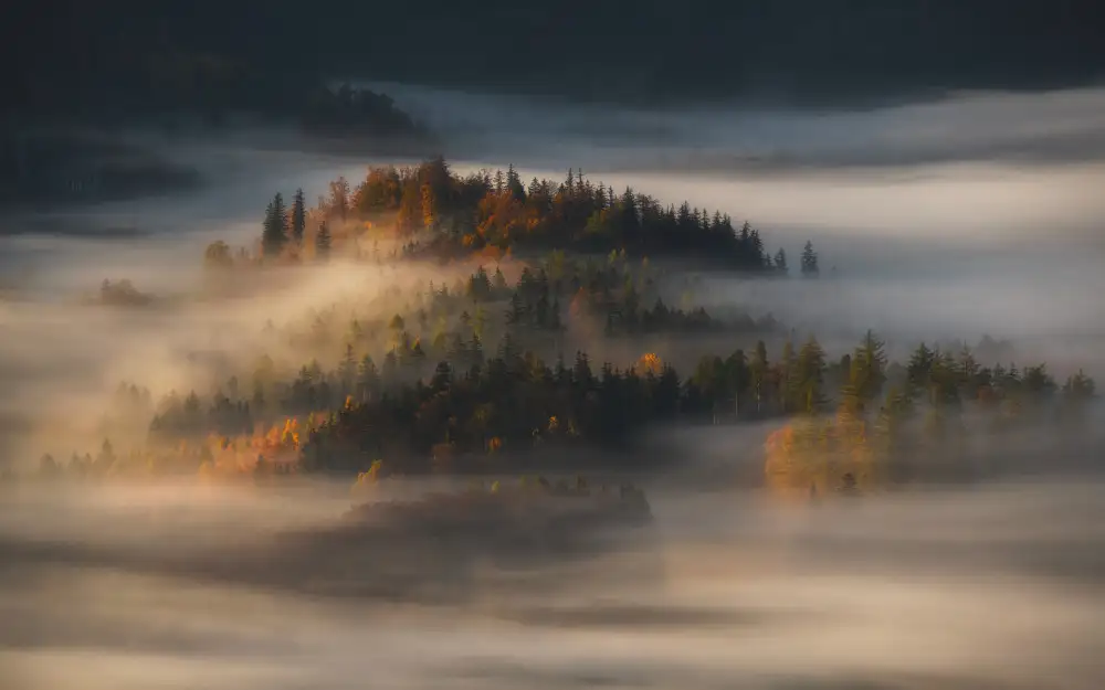 Rojek, Tomasz: Automne