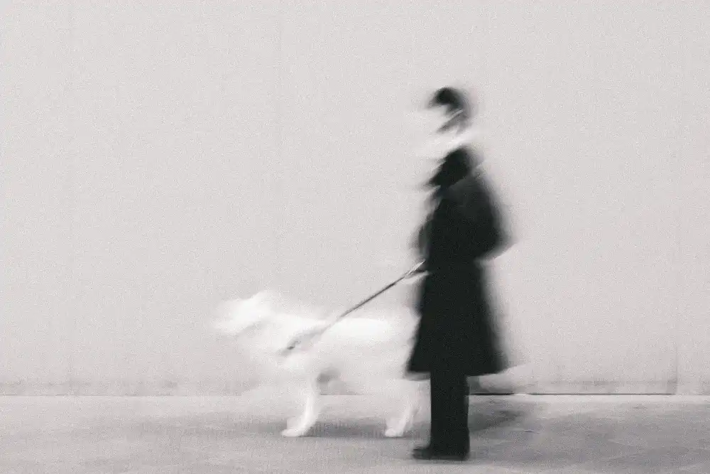 Ruoli, Roberto: Black in too White