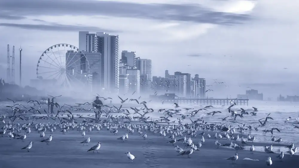 Yang, Jianping: Der Mann und die Vögel