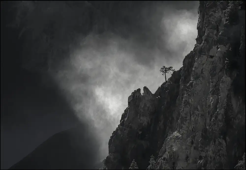 Qin, Feng: Hora,mlha a strom
