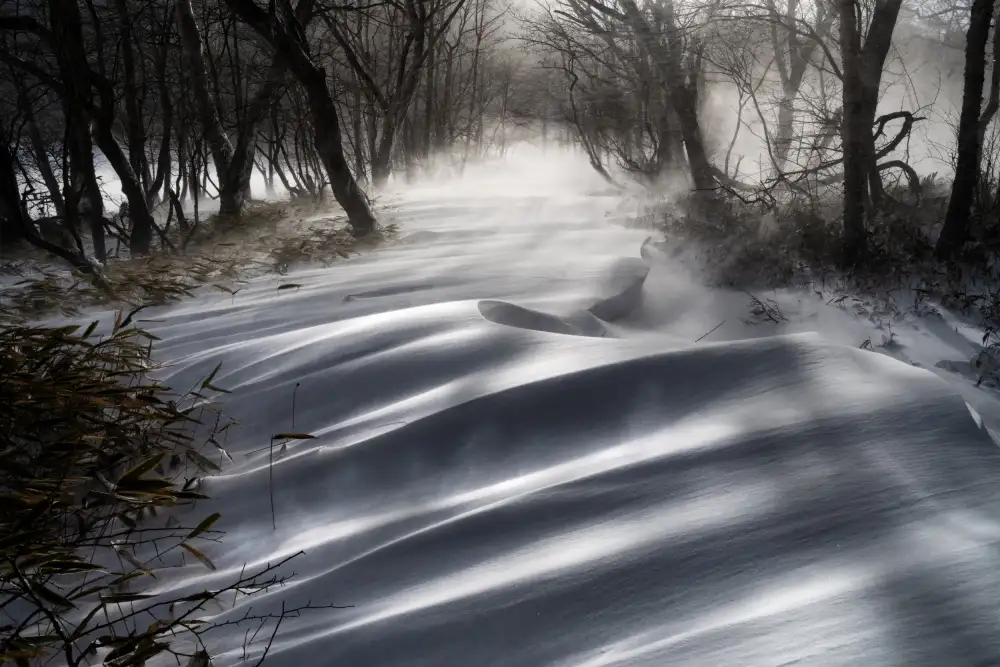 Nagase, Akira: un disegno di neve che risplende