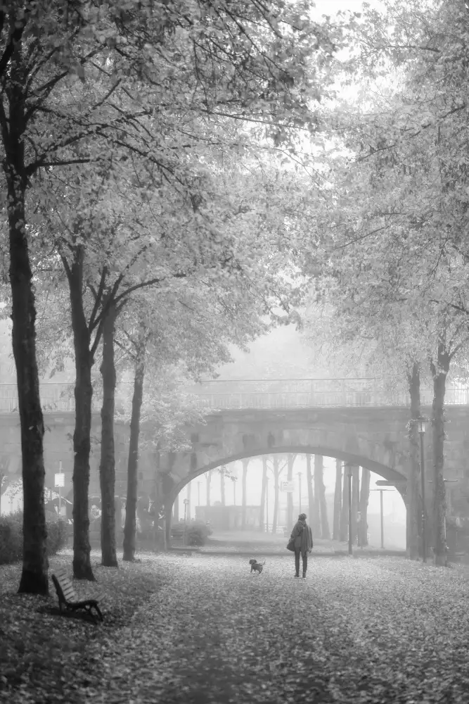 Yamamoto, Eiji: Mattina d'autunno