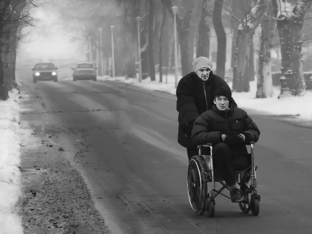 Gabor, Nicoleta: passeggeri invernali