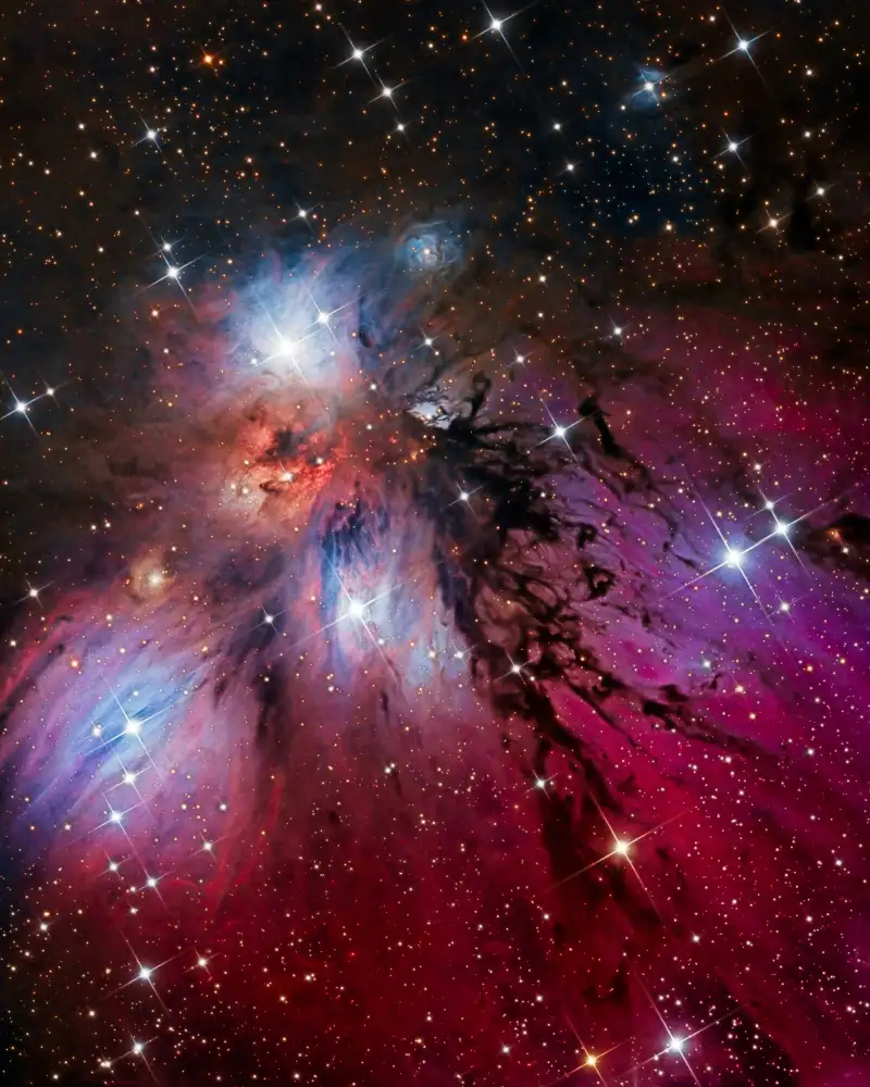 Chander, Vikas: La Nebulosa Angelo