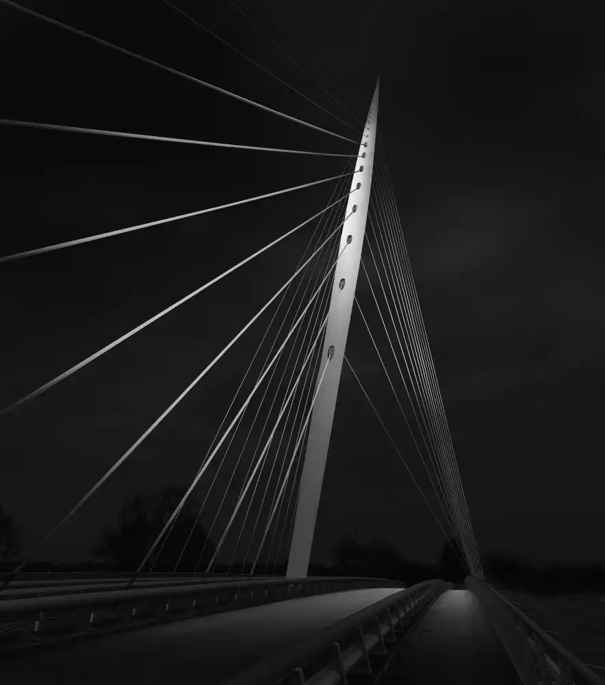 Orden, van Arthur: El Puente de Calatrava en Holanda
