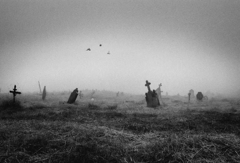 Padova, Di Giuseppe: Antico cimitero abbandonato