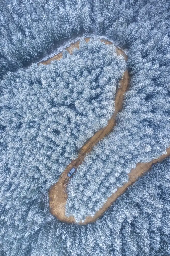 Tianqi: Strada forestale innevata