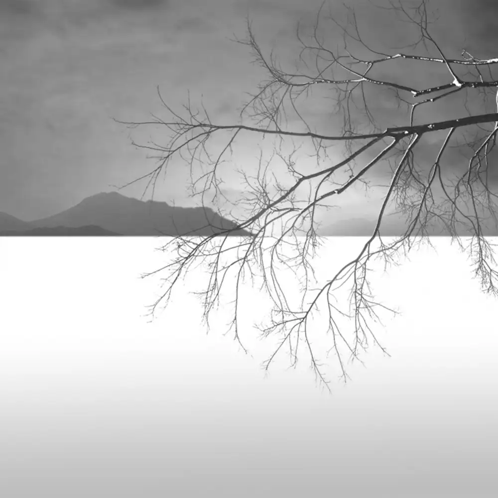 Nodeh, Mostafa: Horizont