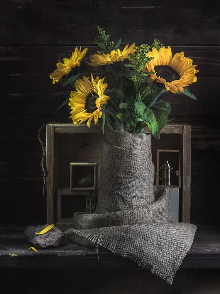 Kulinsky, Vadim: Natura morta con girasoli 1