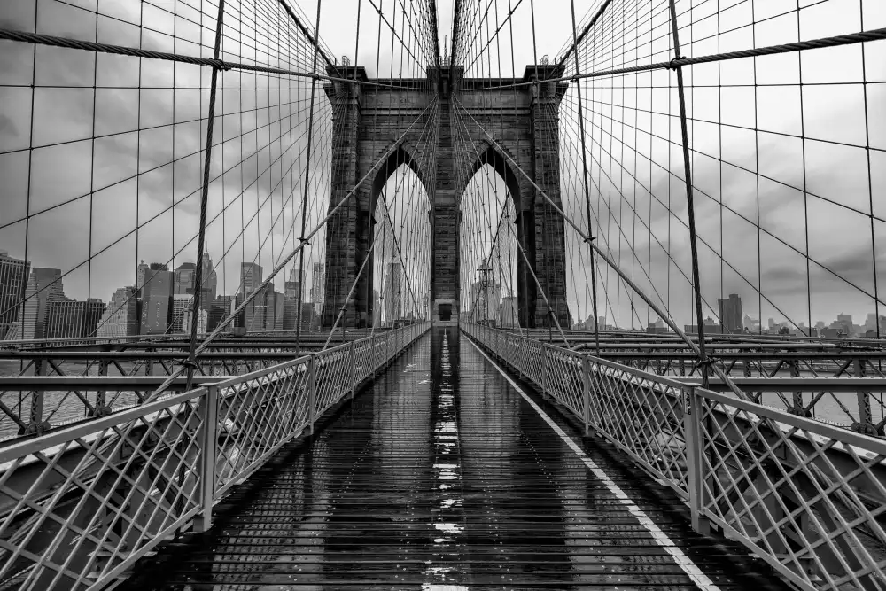 Sowter, Ashley: Brooklynský most