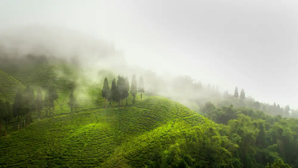 Dey, Abhishek: CLOUDPLAY