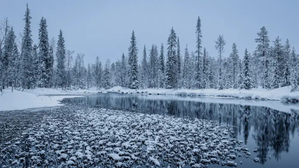 Rosenfeld, Haim: Calme hivernal