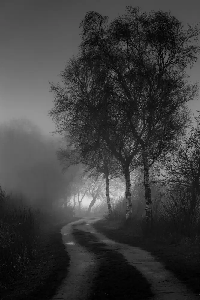 Klesse, Andreas: Nebbia