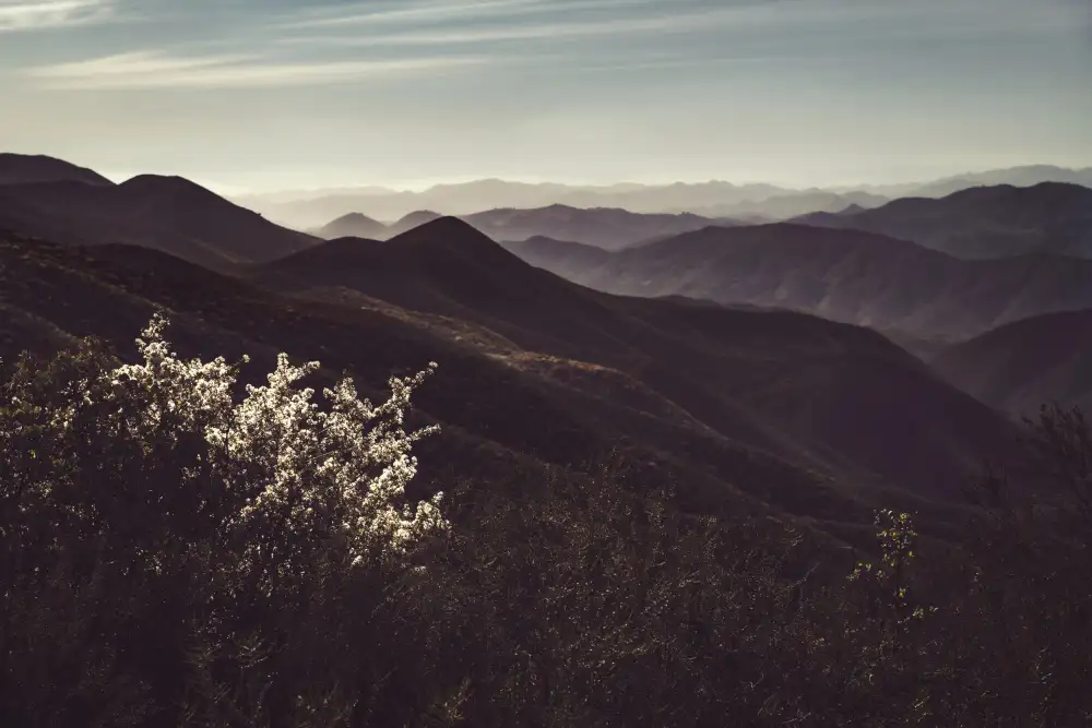 Mossholder, Tim: Vista delle colline