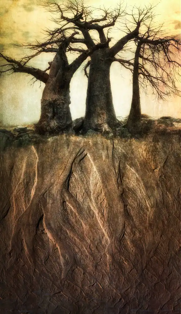 Gerber, Charlaine: '...c'era un albero,vecchio quanto me...'