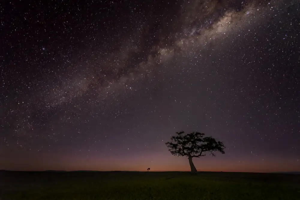 Chen, J. John: La nuit du Masai Mara