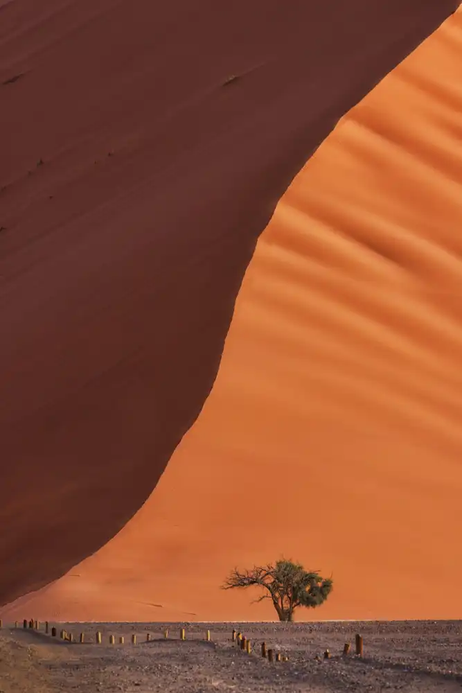 Zheng, Michael: Duna 45