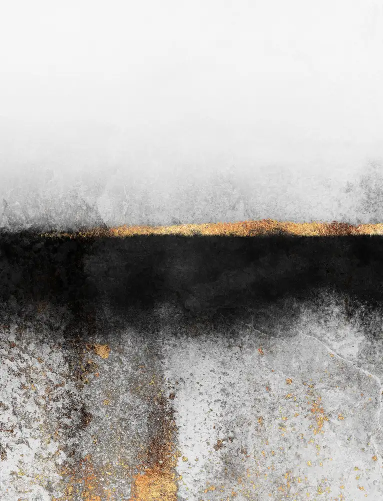 Fredriksson, Elisabeth: Fuliggine e oro