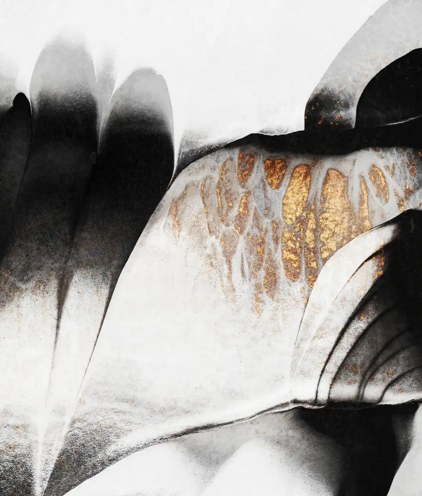 Fredriksson, Elisabeth: Vene d'oro