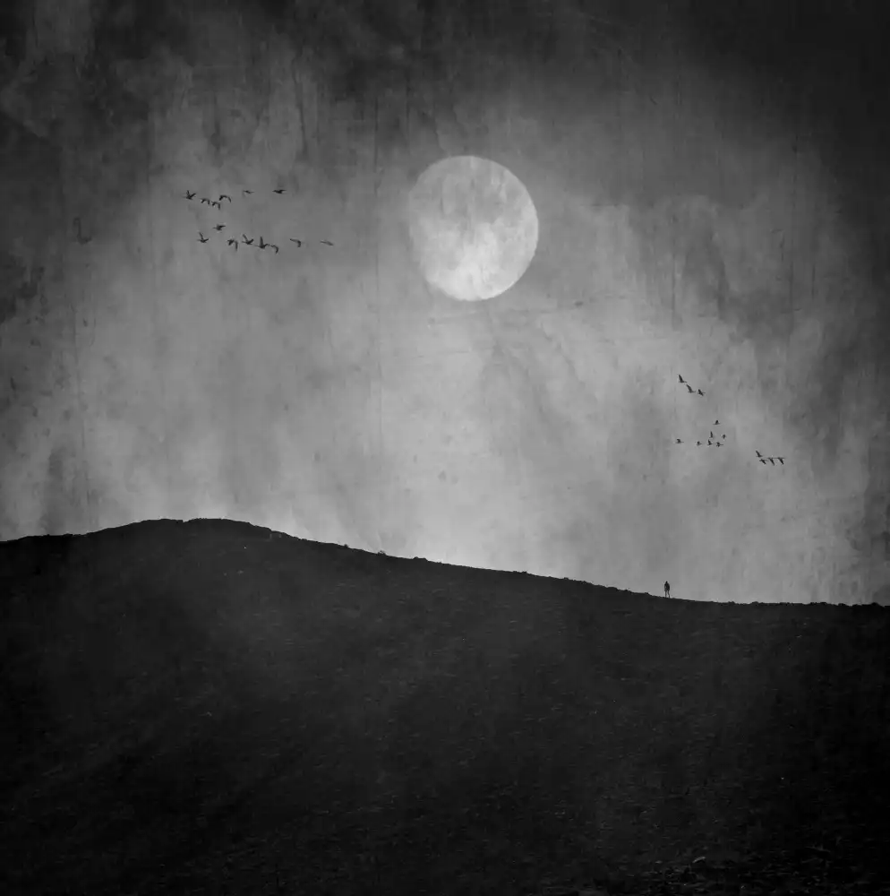 Fabrowski, Robert: Moon Night