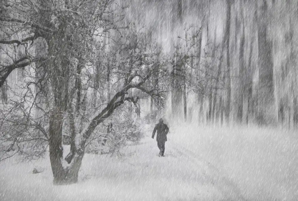 Basa, Emine: inverno